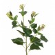 LUXE Artificial Ivy with Berries 70cm | Hedera Helix - LUX008 CC2