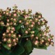 LUXE Artificial Hypericum Berries Pink 72cm - LUX016 CC2