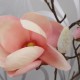 LUXE Artificial Magnolias Branch Pink 79cm - LUX005 CC3