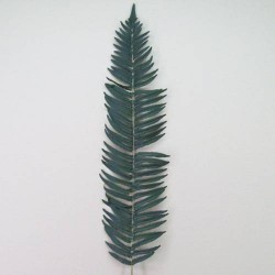 Artificial Fern Leaves Extra Large - FER003 AA1