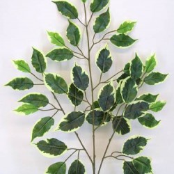 Luxury Variegated Artificial Ficus Leaves - FIC002 