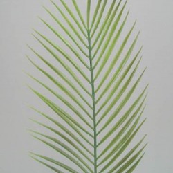 Kentia Artificial Palm Leaf - PM006 K3