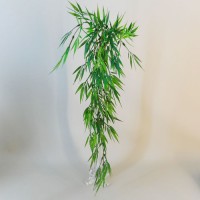 Bamboo Bamboo