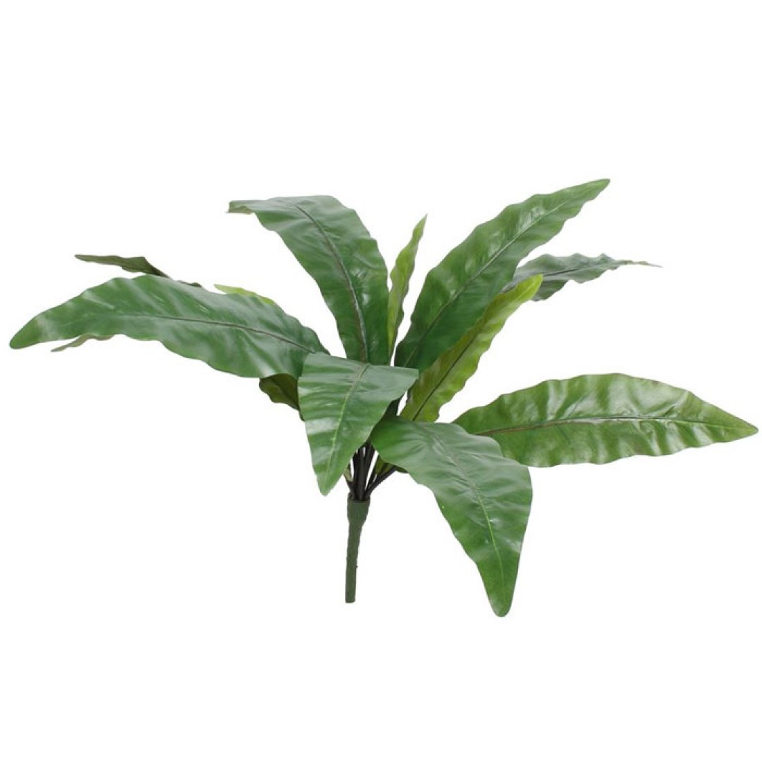 Artificial Bird's Nest Fern Plant 60cm Artificial Plants