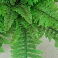 Artificial Ferns