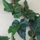 Artificial Flocked Ivy Stem - IVY039 H4
