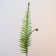 Artificial Fiddle Head Fern Leaves - FER011 E3 Artificial Fiddle Head Fern Leaves - FER011 E3