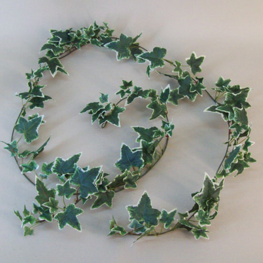 Artificial Ivy Garlands Variegated 183cm Artificial Greenery