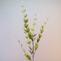 Lonicera Leaves Green | Honeysuckle - LON012 J1