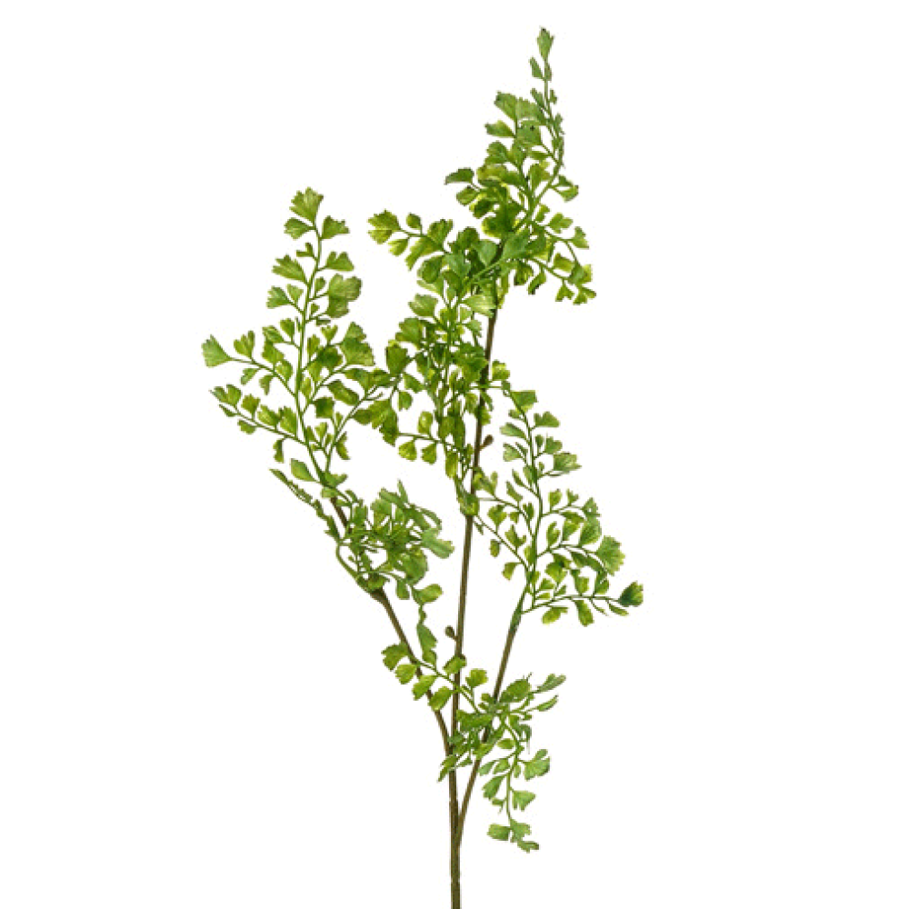 Artificial Maidenhair Fern Artificial Greenery