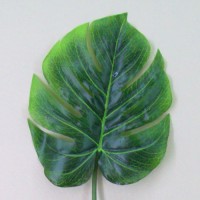 Exotic Leaves Exotic Leaves