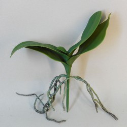 Artificial Orchid Leaves and Roots 23cm - O017 GS3D