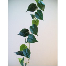 Artificial Philodendron | Morning Glory Leaves Garland - PHI008 K4