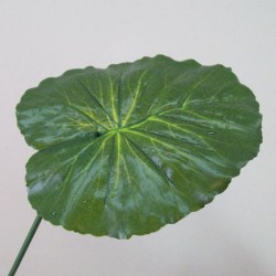 Artificial Lotus Leaves with Raindrops - LOT001 H3