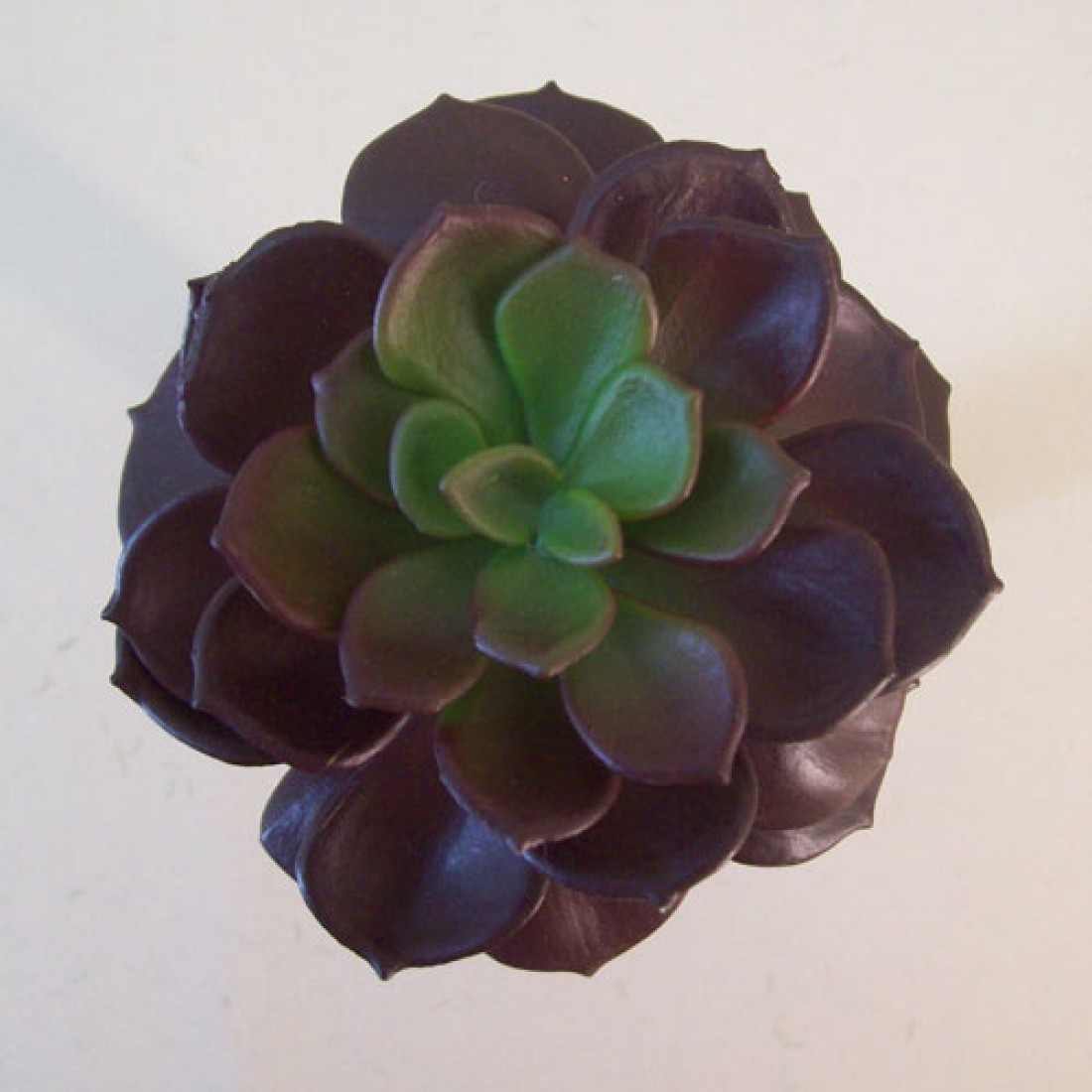 Succulent Camellia Burgundy Artificial Succulents