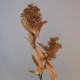 Artificial Skimmia Japonica Autumn 72cm - S068 R3