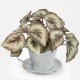 Artificial Begonia Plants 30cm - BEG001 A4