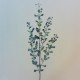 Blue Berry Branches 78cm - BER023 A3