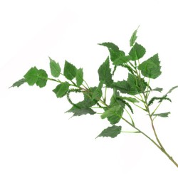 Artificial Birch Leaves Branch with Catkiins 71cm - BIR003 E2