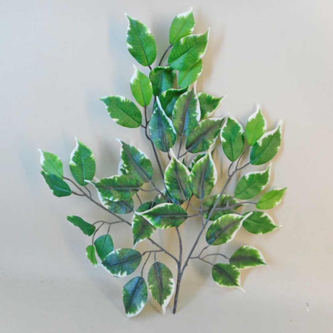 Budget Artificial Ficus Leaves Variegated Artificial Leaves
