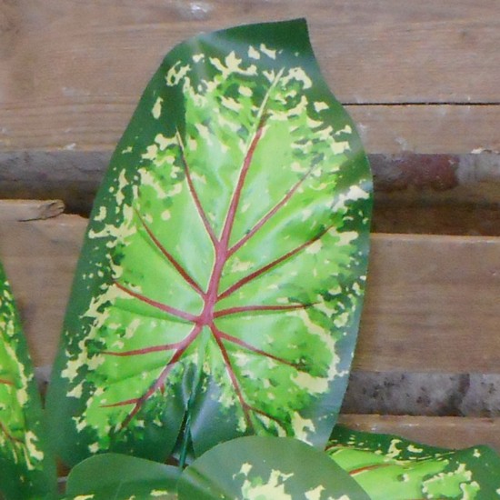 Artificial Caladium Leaf Green Red 43cm  - CAL002 C3