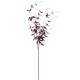 Ornamental Clematis Leaf Burgundy 115cm - CLE002 