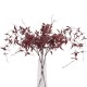Ornamental Clematis Leaf Burgundy 115cm - CLE002 