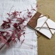 Ornamental Clematis Leaf Burgundy 115cm - CLE002 