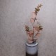 Artificial Eucalyptus Branch Brown - EUC051 E3