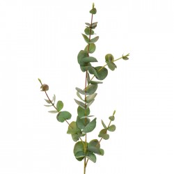 Artificial Eucalyptus Stem Green 80cm - EUC062 H4