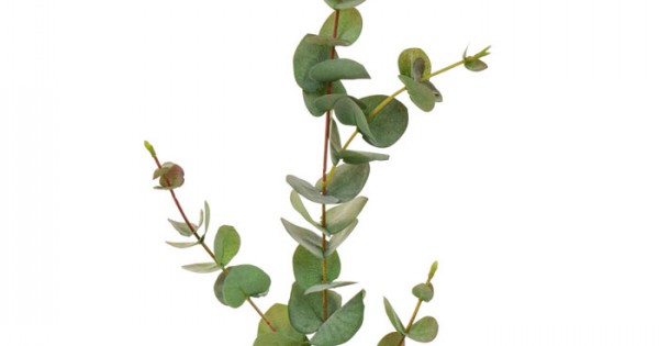 Artificial Eucalyptus Stem Green 80cm | Artificial Greenery