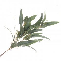 Artificial Eucalyptus Nicoli Green 84cm - EUC028 