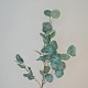 Artificial Eucalyptus Silver Dollar 92cm - EUC019 E4