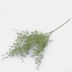 Artificial Asparagus Fern Stem 70cm - ASP005 AA4