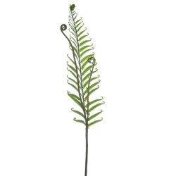 Artificial Fiddle Head Fern Leaves - FER011 E3
