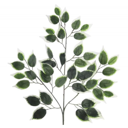 Fleur Artificial Ficus Leaves Variegated - FIC021 EE2