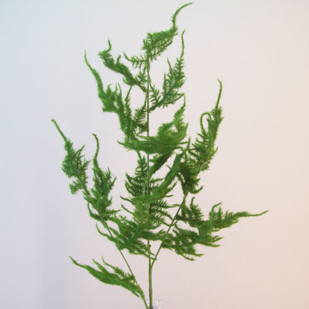 Flocked Artificial Asparagus Ferns Artificial Ferns