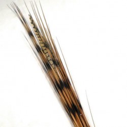 Zebra Grass and Pheasant Feathers 120cm - ZEB001 BB2