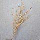 Faux Dried Artificial Reeds Spray Cream 104cm - GRA016 KK3