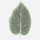 Fleur Artificial Hosta Leaf 40cm - HOS003 II2