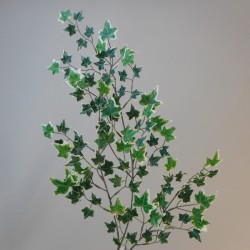 Artificial Variegated Holland Ivy Stem 109 Leaves - IVY049 G4