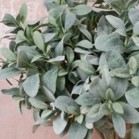 Flocked Leaves