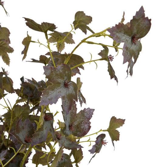 Variegated Maple Leaf Green Burgundy 97cm - MAP010 KK3