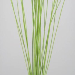 Midelino Sticks Lime Green - MS005