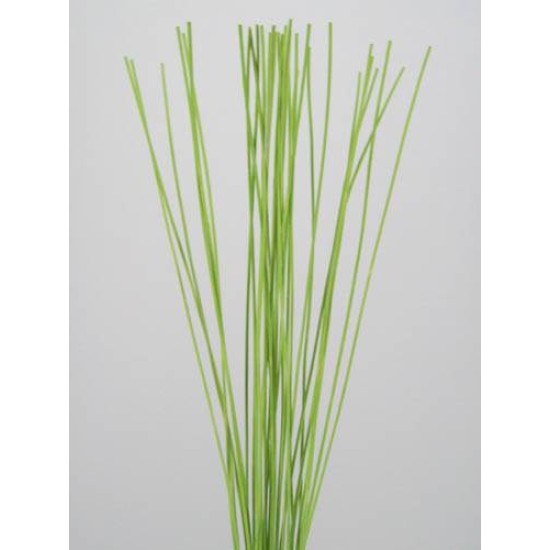 Midelino Sticks Lime Green - MS005