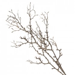 Artificial Oak Branch no Leaves 85cm - TWI006 : Delivery due June 2022