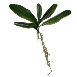Artificial Orchid Leaves and Roots 35cm - O011