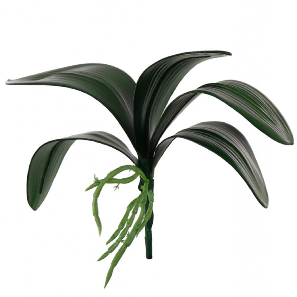 Orchid Leaves and Roots Medium Artificial Leaves