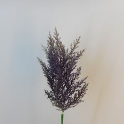 Artificial Pampas Grass Aubergine Purple 65cm - PAM007 L2