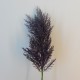 Artificial Pampas Grass Aubergine Purple 70cm - PAM010 BX5